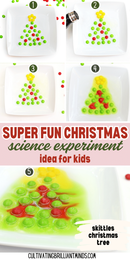 Christmas Skittles Science Experiment - Cultivating Brilliant Minds skittles on a plate organized to look like a christmas tree