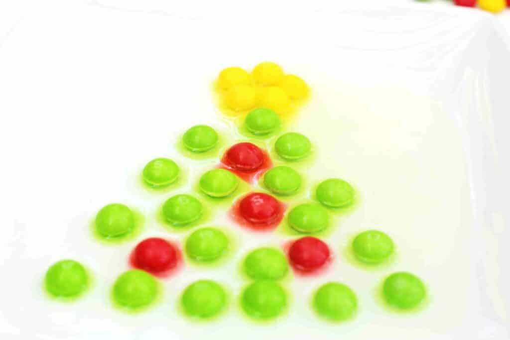 Christmas Tree Skittles Experiment - Cultivating Brilliant Minds skittles organized to look like a christmas tree