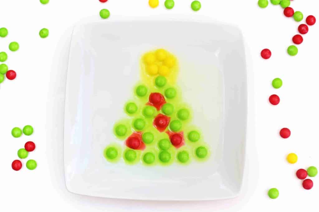 Christmas Tree Skittles Experiment - Cultivating Brilliant Minds skittles placed in water to look like a christmas tree