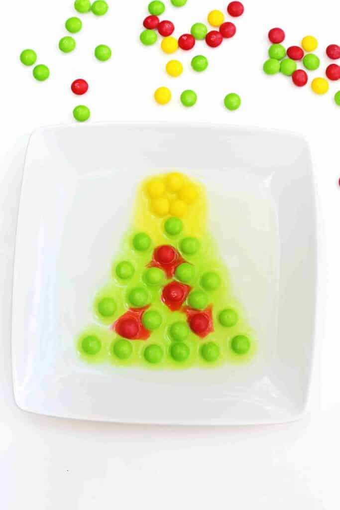 Christmas Tree Skittles Experiment - Cultivating Brilliant Minds skittles organized to look like a christmas tree