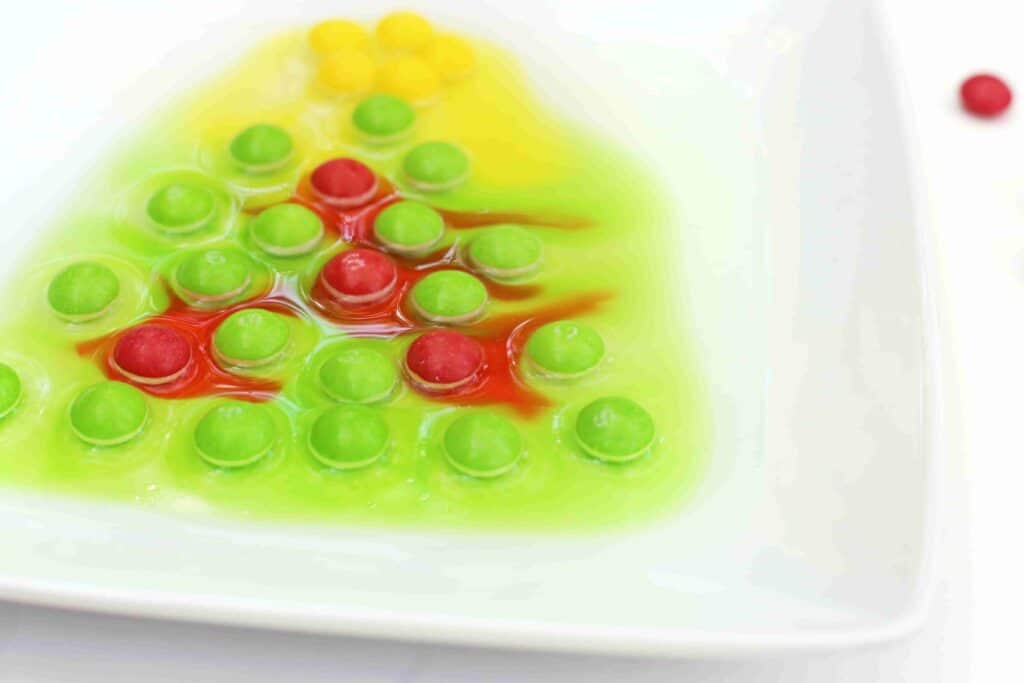 Christmas Tree Skittles Experiment - Cultivating Brilliant Minds skittles organized to look like a christmas tree