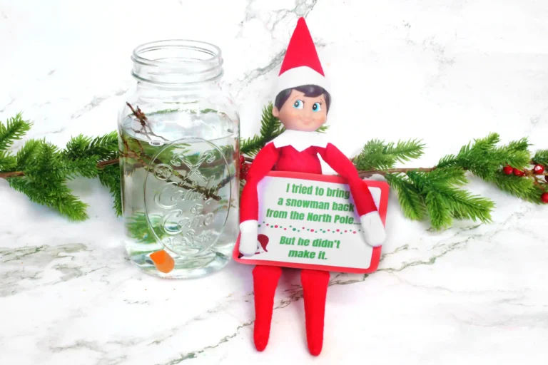 and elf on the shelf next to a jar of water with a carrot, googly eyes, and sticks in it with a sign that reads "I tried to bring a snowman back from the north pole but he didn't make it.