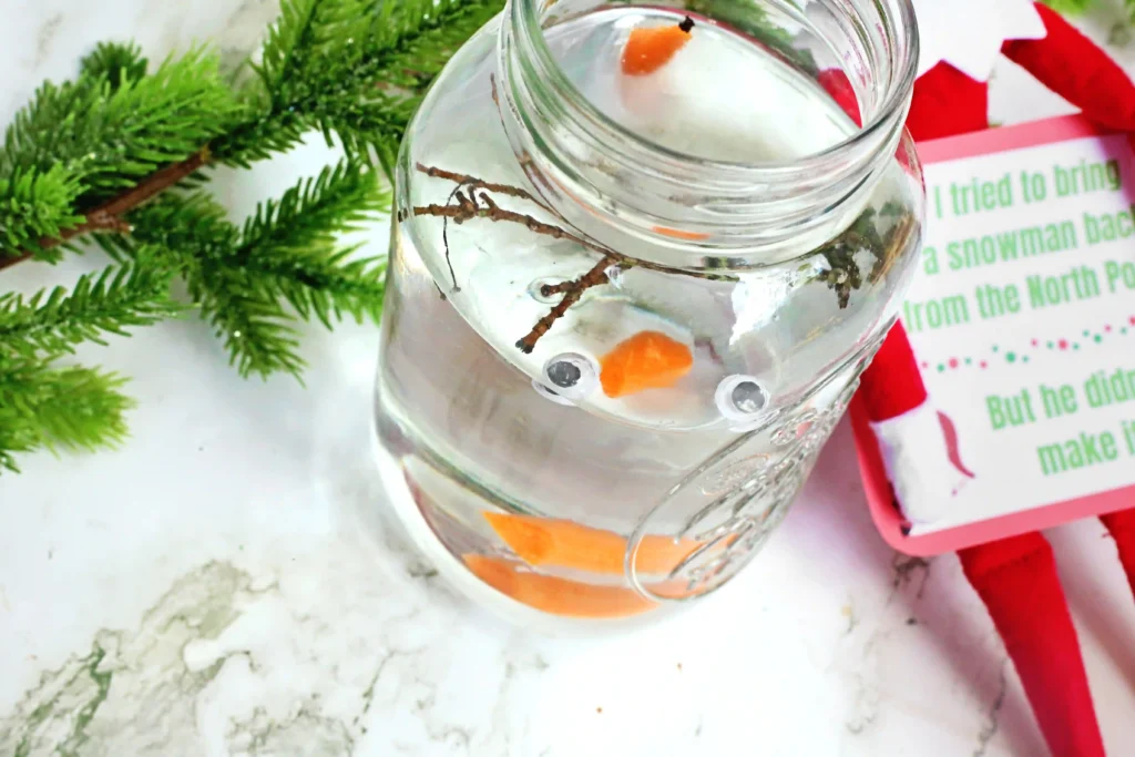 Elf on the Shelf Idea: Melted Snowman - Cultivating Brilliant Minds a jar filled with water, googly eyes, sticks, and a carrot