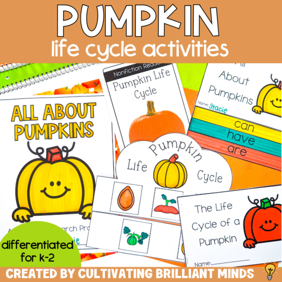 Pumpkin Life Cycle