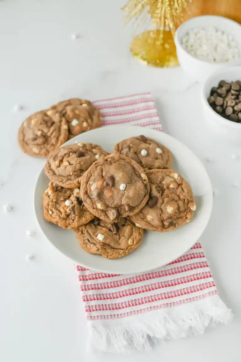 hot chocolate cookies on a white plate