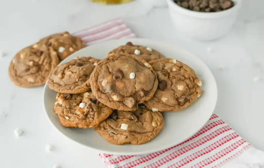 Hot Chocolate Cookies - Cultivating Brilliant Minds hot chocolate cookies on a white plate
