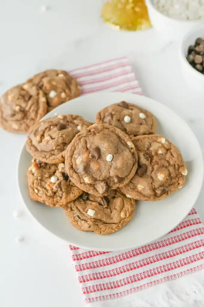 Hot Chocolate Cookies - Cultivating Brilliant Minds hot chocolate cookies on a white plate