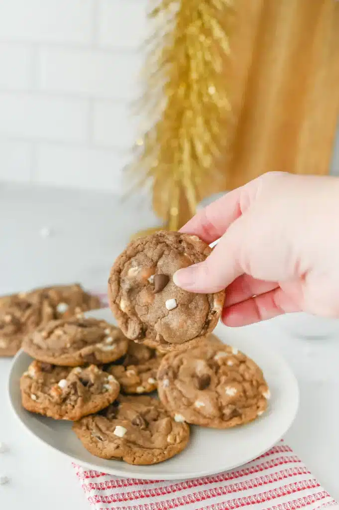 Hot Chocolate Cookies - Cultivating Brilliant Minds a hand holding a hot chocolate cookie