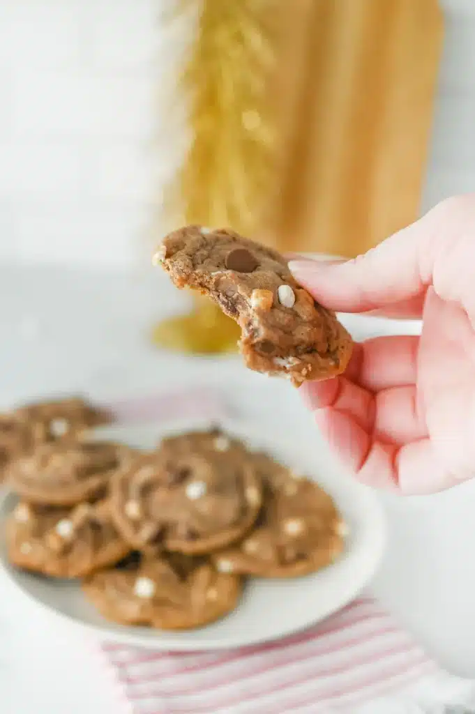 Hot Chocolate Cookies - Cultivating Brilliant Minds a hand holding a half eaten hot chocolate cookie