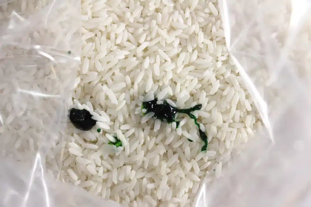 Grinch Sensory Bin - Cultivating Brilliant Minds rice with green food coloring in a bag