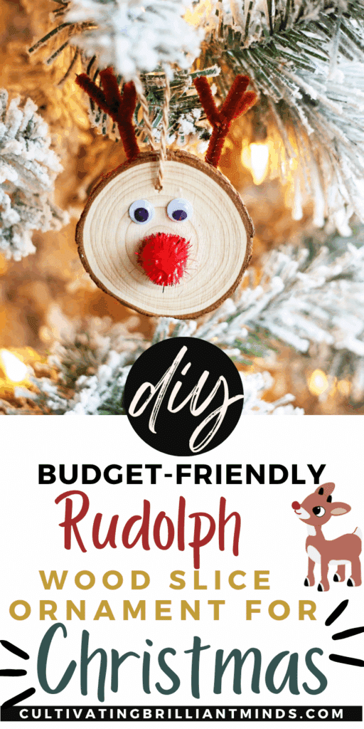 Rudolph Wood Slice Ornament - Cultivating Brilliant Minds a wood slice decorated to look like rudolph and made into an ornament for the tree