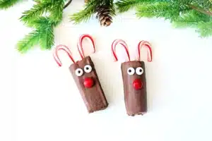 Roll A Rudolph Swiss Roll Rudolph - Cultivating Brilliant Minds