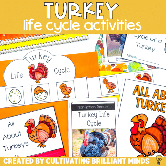 activities, crafts, and worksheets to learn about the life cycle of a turkey