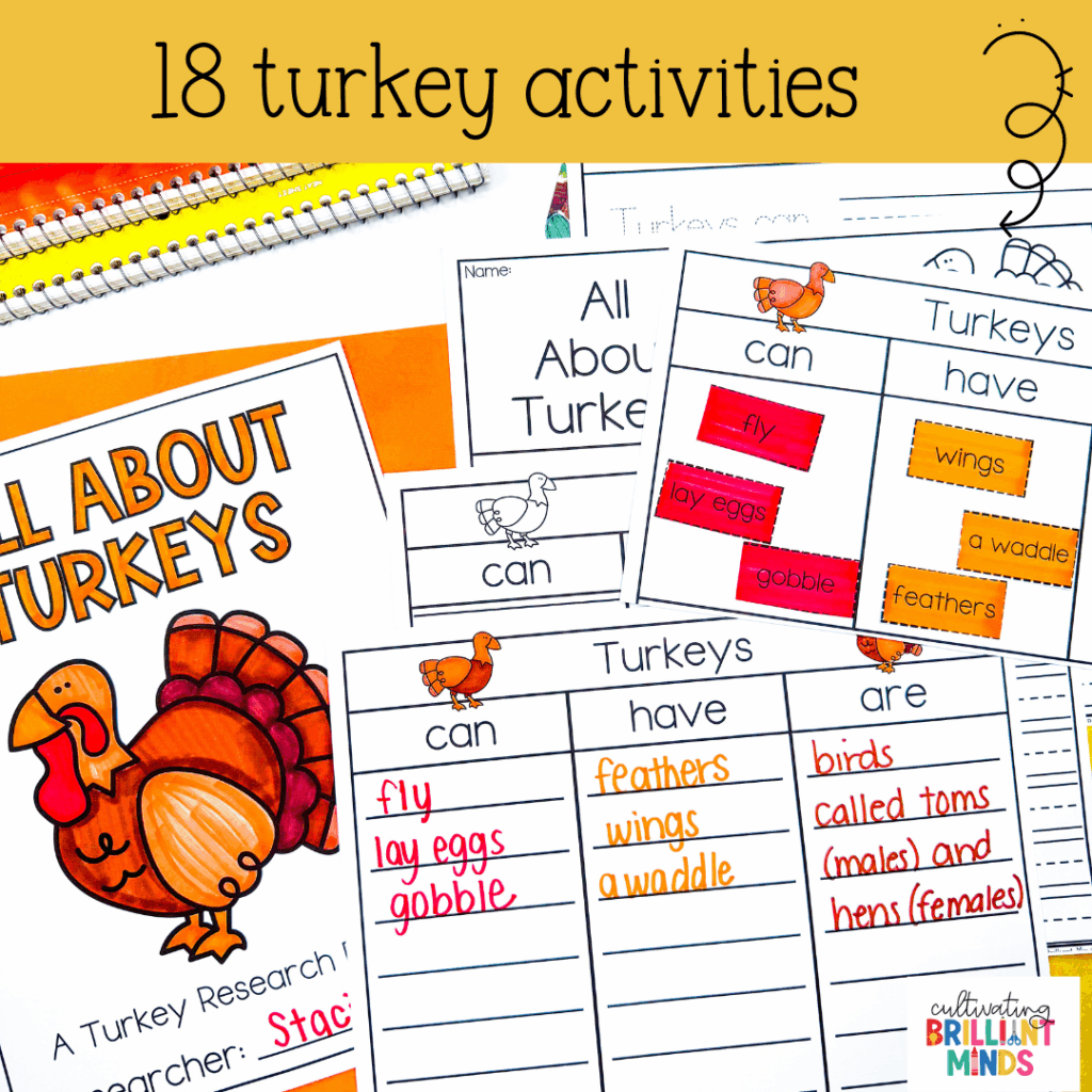 activities, crafts, and worksheets to learn about the life cycle of a turkey