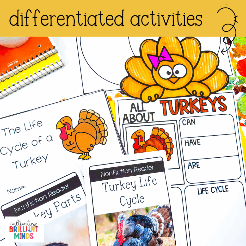 activities, crafts, and worksheets to learn about the life cycle of a turkey