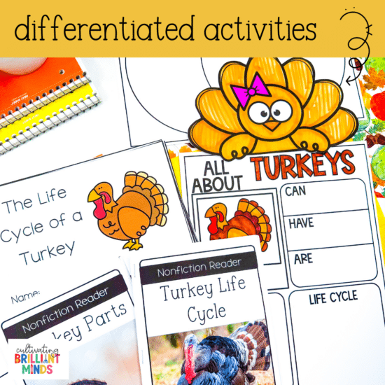 activities, crafts, and worksheets to learn about the life cycle of a turkey