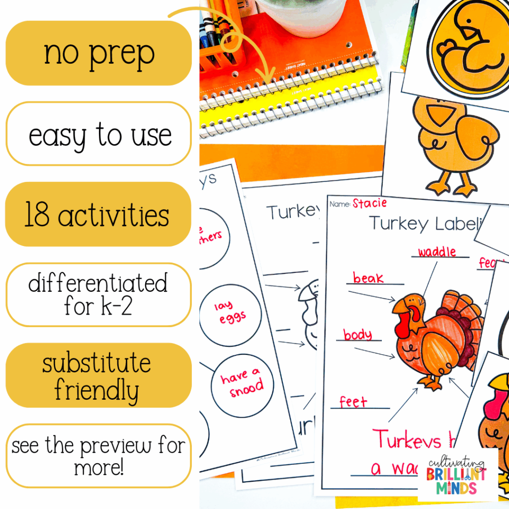 activities, crafts, and worksheets to learn about the life cycle of a turkey
