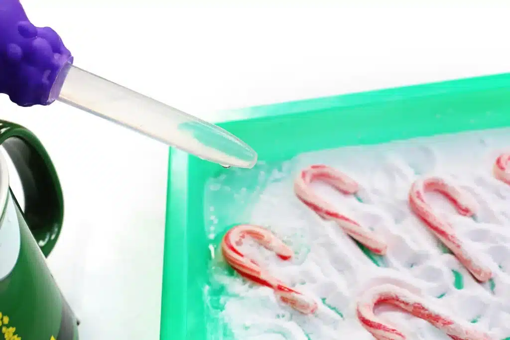 Fizzy Candy Cane Experiment - Cultivating Brilliant Minds candy canes fizzing in baking soda and vinegar