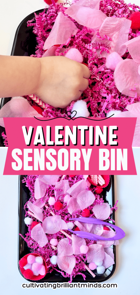 Valentine's Day Sensory Bin - Cultivating Brilliant Minds a valentine's day sensory bin with rose petals and pom poms