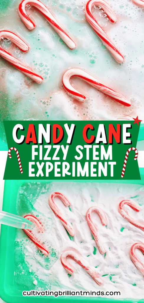 Fizzy Candy Cane Experiment - Cultivating Brilliant Minds candy canes fizzing in baking soda and vinegar