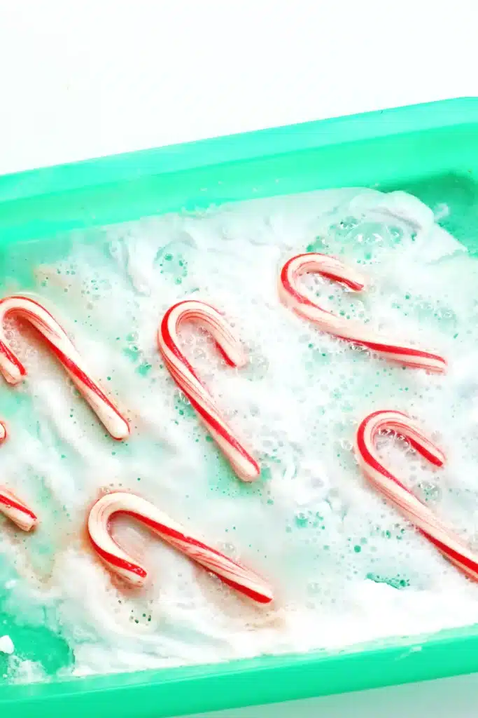 Fizzy Candy Cane Experiment - Cultivating Brilliant Minds candy canes fizzing in baking soda and vinegar
