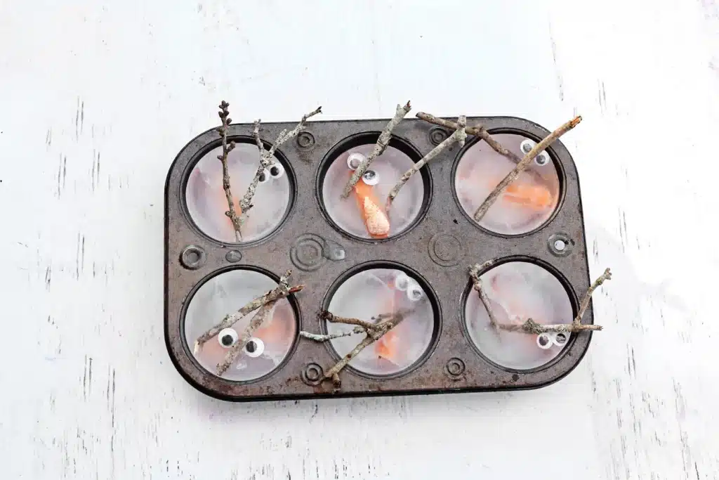 Melting Snowman Sensory Activity - Cultivating Brilliant Minds snowman pieces frozen in an ice tray