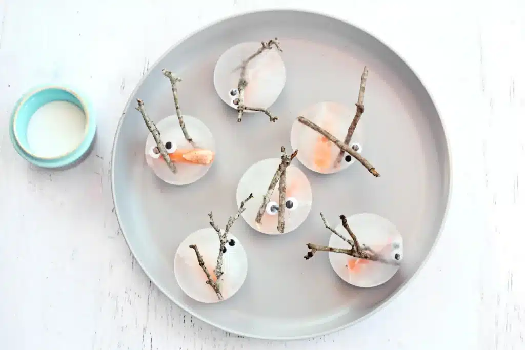 Melting Snowman Sensory Activity - Cultivating Brilliant Minds snowman pieces frozen in ice on a plate