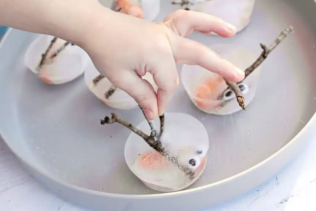 Melting Snowman Sensory Activity - Cultivating Brilliant Minds a child putting salt over frozen ice with snowman parts inside