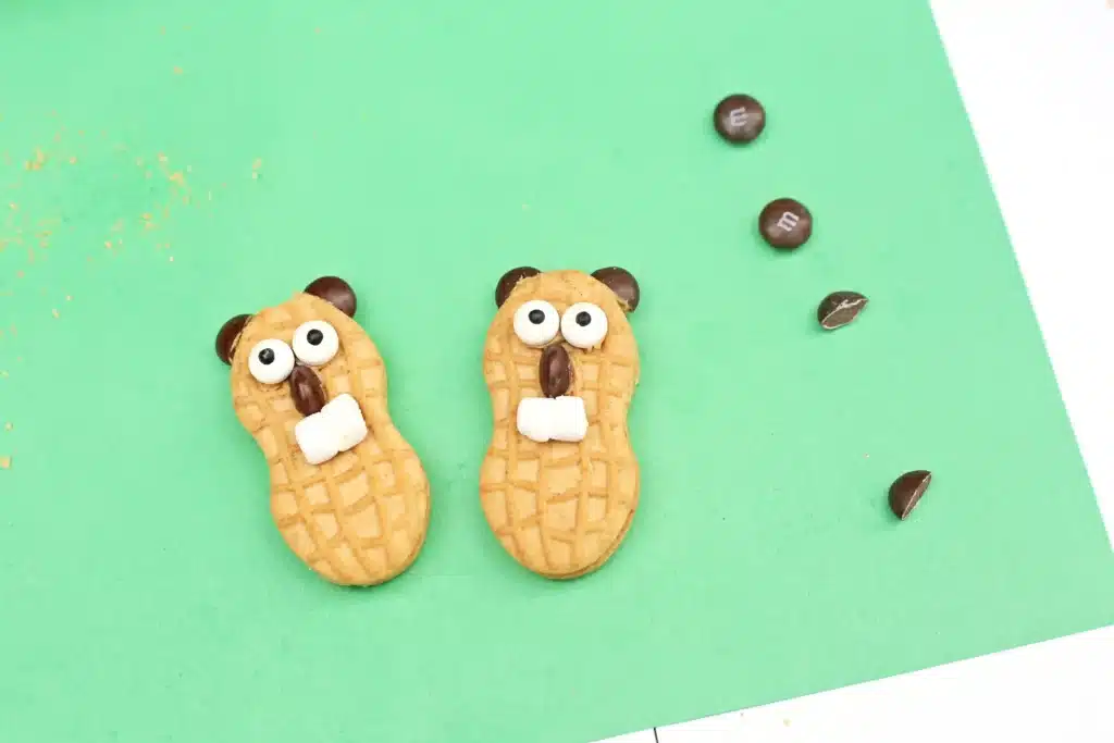 Groundhog Pudding Cups - Cultivating Brilliant Minds nutter butters decorated to look like groundhogs