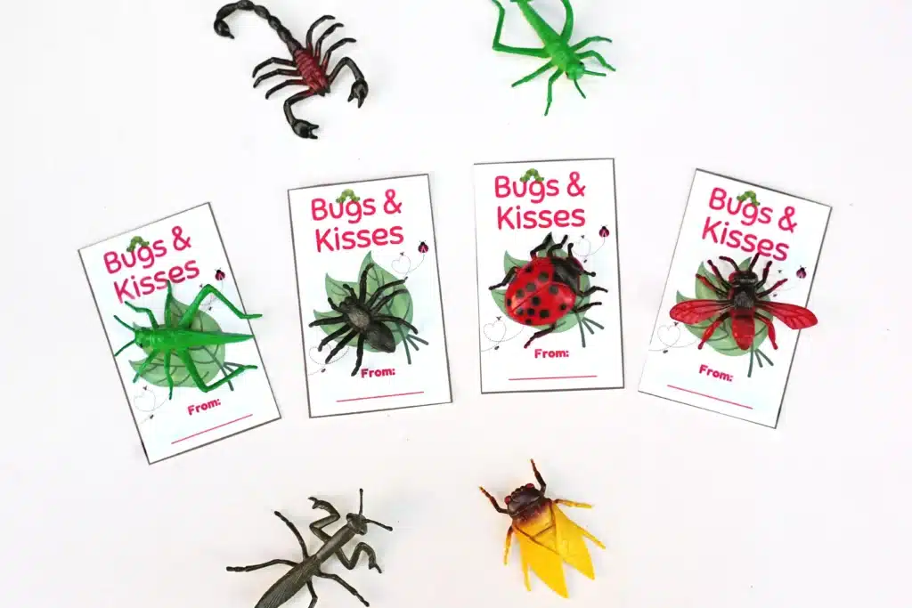 Printable Valentine Cards- Bugs and kisses - Cultivating Brilliant Minds printable bug-themed valentine cards that read "bug and kisses" and have a plastic bug toy attached