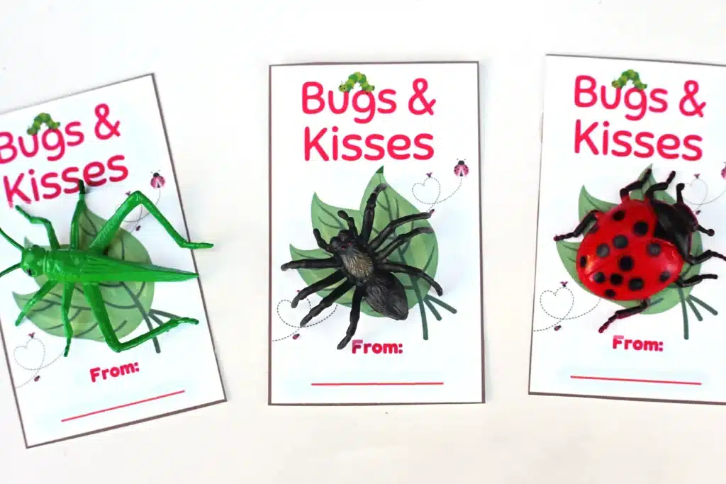 Printable Valentine Cards- Bugs and kisses - Cultivating Brilliant Minds printable bug-themed valentine cards that read "bug and kisses" and have a plastic bug toy attached