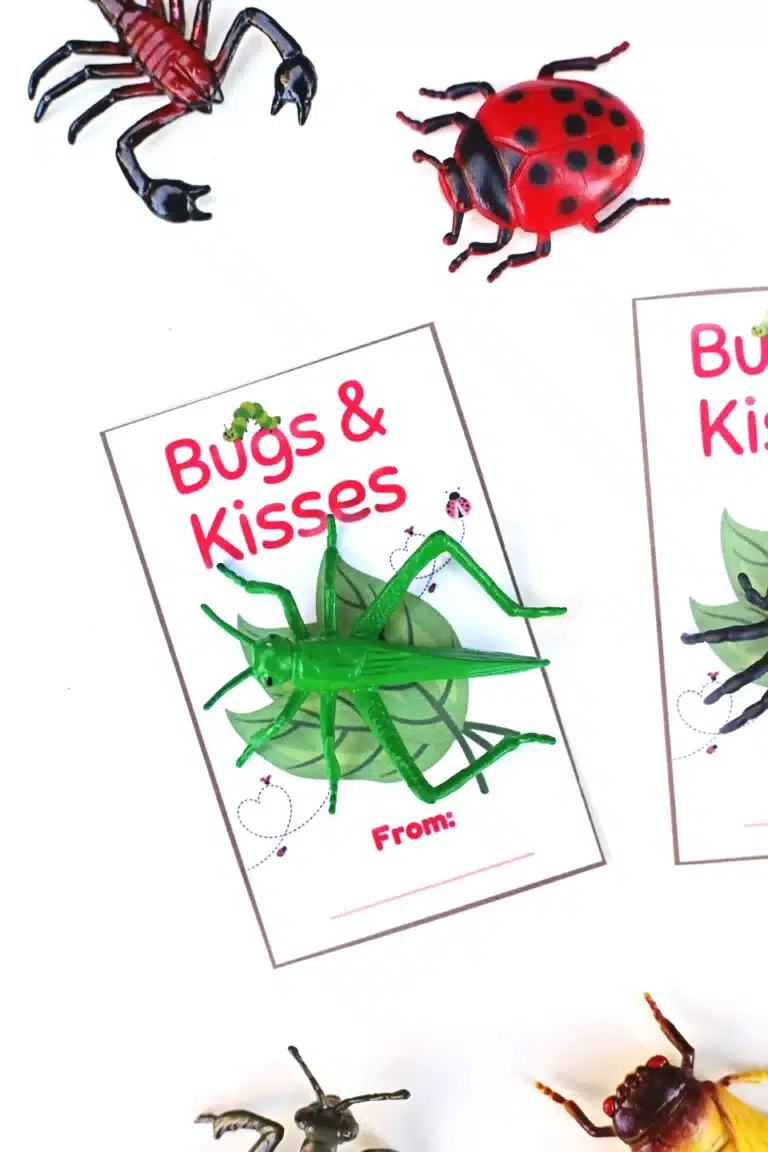 printable bug-themed valentine cards that read "bug and kisses" and have a plastic bug toy attached
