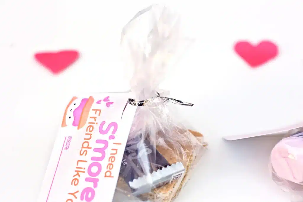 Printable Valentines I need s'more friends like you - Cultivating Brilliant Minds a bag filled with graham crackers, chocolate, and a marshmallow with a tag that reads "I need s'more friends like you"