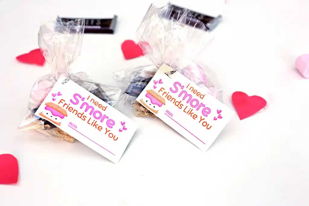 Printable Valentines I need s'more friends like you - Cultivating Brilliant Minds a bag filled with graham crackers, chocolate, and a marshmallow with a tag that reads "I need s'more friends like you"