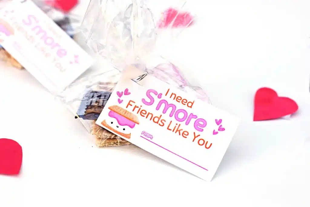 Printable Valentines I need s'more friends like you - Cultivating Brilliant Minds a bag filled with graham crackers, chocolate, and a marshmallow with a tag that reads "I need s'more friends like you"