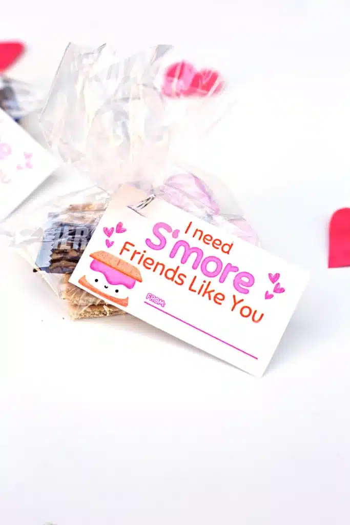 Printable Valentines I need s'more friends like you - Cultivating Brilliant Minds a bag filled with graham crackers, chocolate, and a marshmallow with a tag that reads "I need s'more friends like you"