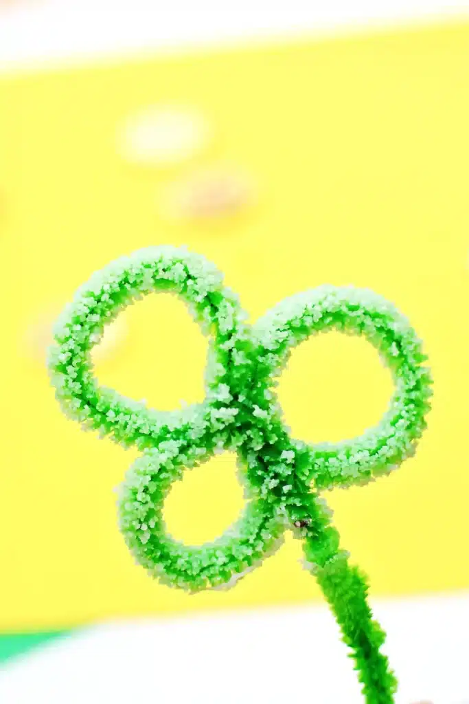 Salt Crystal Shamrock Science Experiment - Cultivating Brilliant Minds Salt Crystal Shamrock Science Experiment - a green pipe cleaner shaped into a clover with salt stuck on it