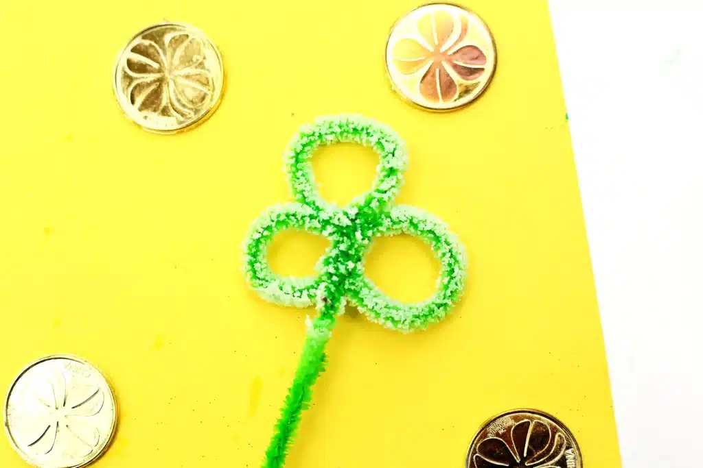 Salt Crystal Shamrock Science Experiment - Cultivating Brilliant Minds Salt Crystal Shamrock Science Experiment - a green pipe cleaner shaped into a clover with salt stuck on it
