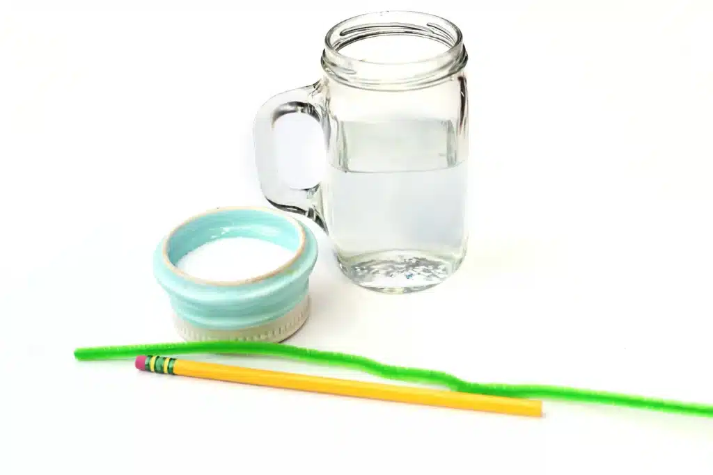 Salt Crystal Shamrock Science Experiment - Cultivating Brilliant Minds water, salt, a pencil, and a green pipe cleaner