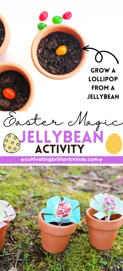 Magic Jelly Bean Easter activity for kids - Cultivating Brilliant Minds a magic jelly bean easter activity for kids where a lollipop "grows" from a jelly bean planted in soil