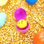 Chick Hatch Sensory Bin - Cultivating Brilliant Minds a chick inside a plastic easter egg on top of corn kernels