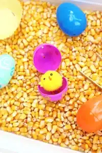 a chick inside a plastic easter egg on top of corn kernels