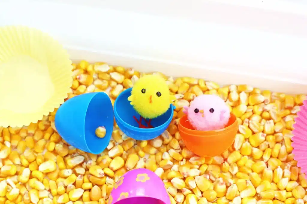 Chick Hatch Sensory Bin - Cultivating Brilliant Minds a chick inside a plastic easter egg on top of corn kernels
