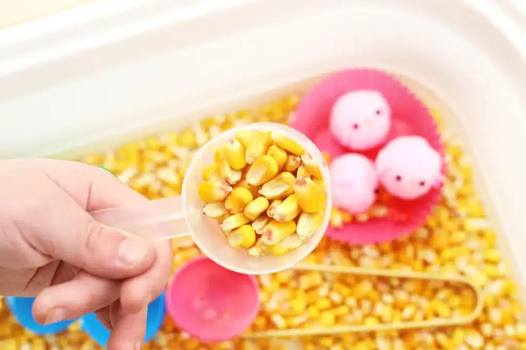 Chick Hatch Sensory Bin - Cultivating Brilliant Minds a measuring cup of corn kernels
