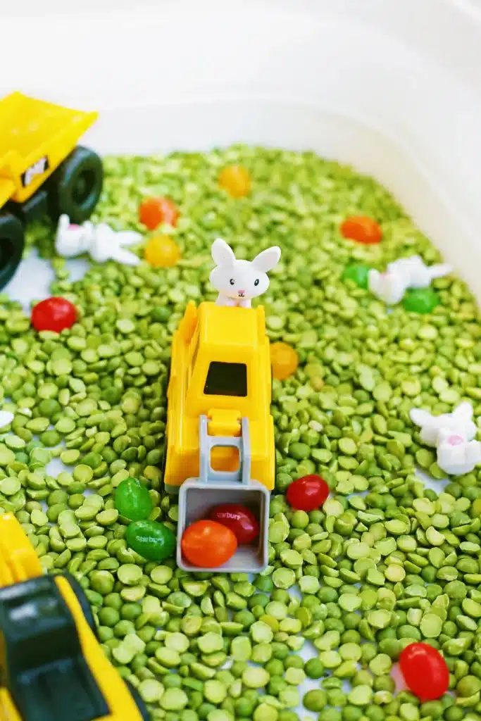 Easter Construction Sensory Bin - Cultivating Brilliant Minds an easter construction sensory bin made of split peas, jelly beans, toy bunnies, and construction vehicles