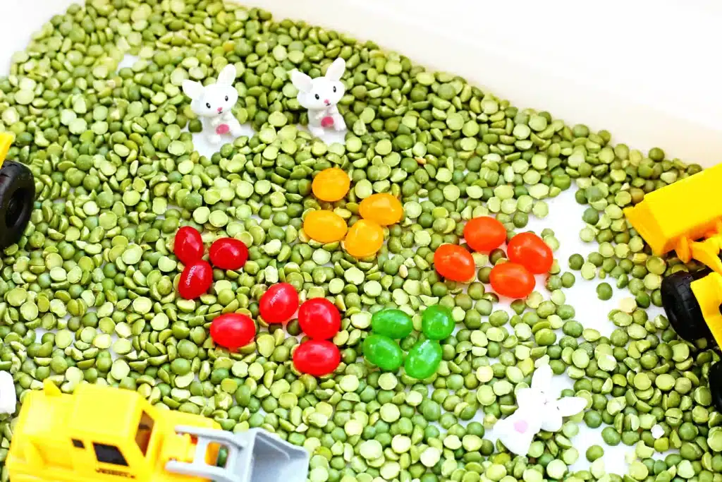 Easter Construction Sensory Bin - Cultivating Brilliant Minds an easter construction sensory bin made of split peas, jelly beans, toy bunnies, and construction vehicles