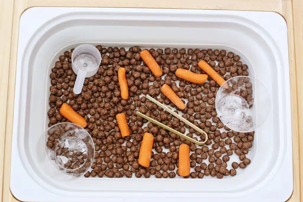 Edible Carrot Patch Sensory Bin For Spring - Cultivating Brilliant Minds a carrot patch sensory bin that has cocoa puffs and baby carrots