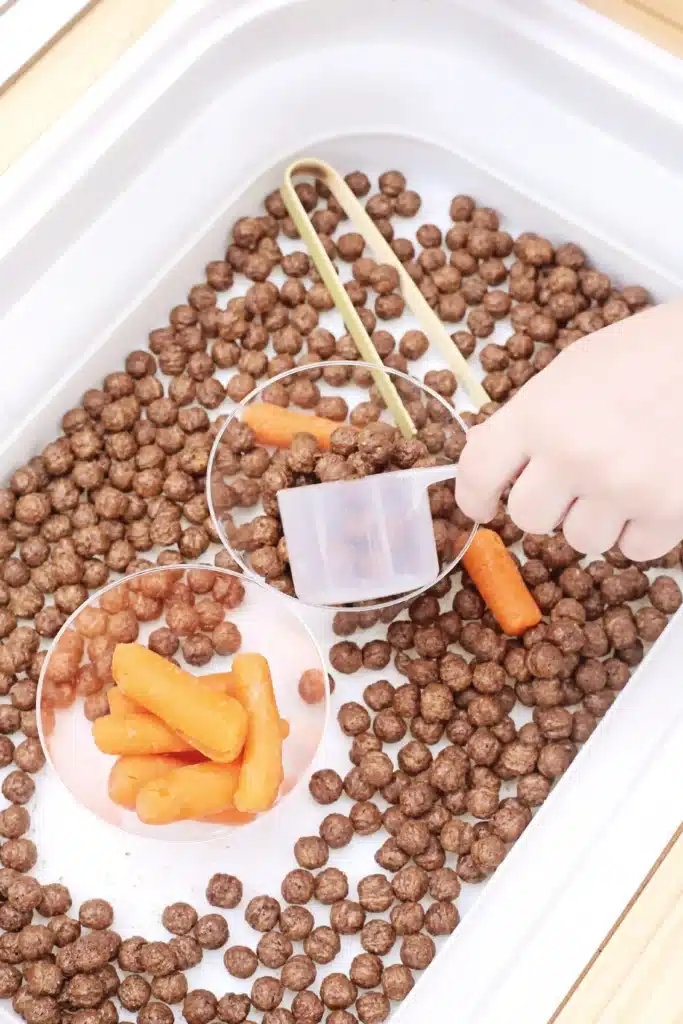 Edible Carrot Patch Sensory Bin For Spring - Cultivating Brilliant Minds a kid dumping a measuring cup of cocoa puffs in a cup