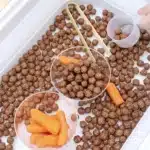 Edible Carrot Patch Sensory Bin For Spring - Cultivating Brilliant Minds a carrot patch sensory bin that has cocoa puffs and baby carrots