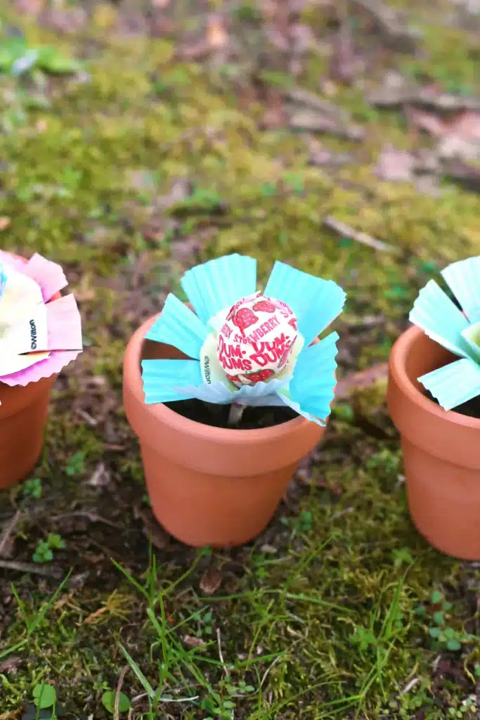 Magic Jelly Bean Easter activity for kids - Cultivating Brilliant Minds a magic jelly bean easter activity for kids where a lollipop "grows" from a jelly bean planted in soil